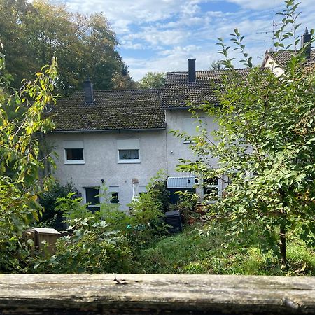 In Saarbruecken Stadtnahe Gemuetliche Wohnung Am Deutsch-Franzoesischen Garten Zewnętrze zdjęcie
