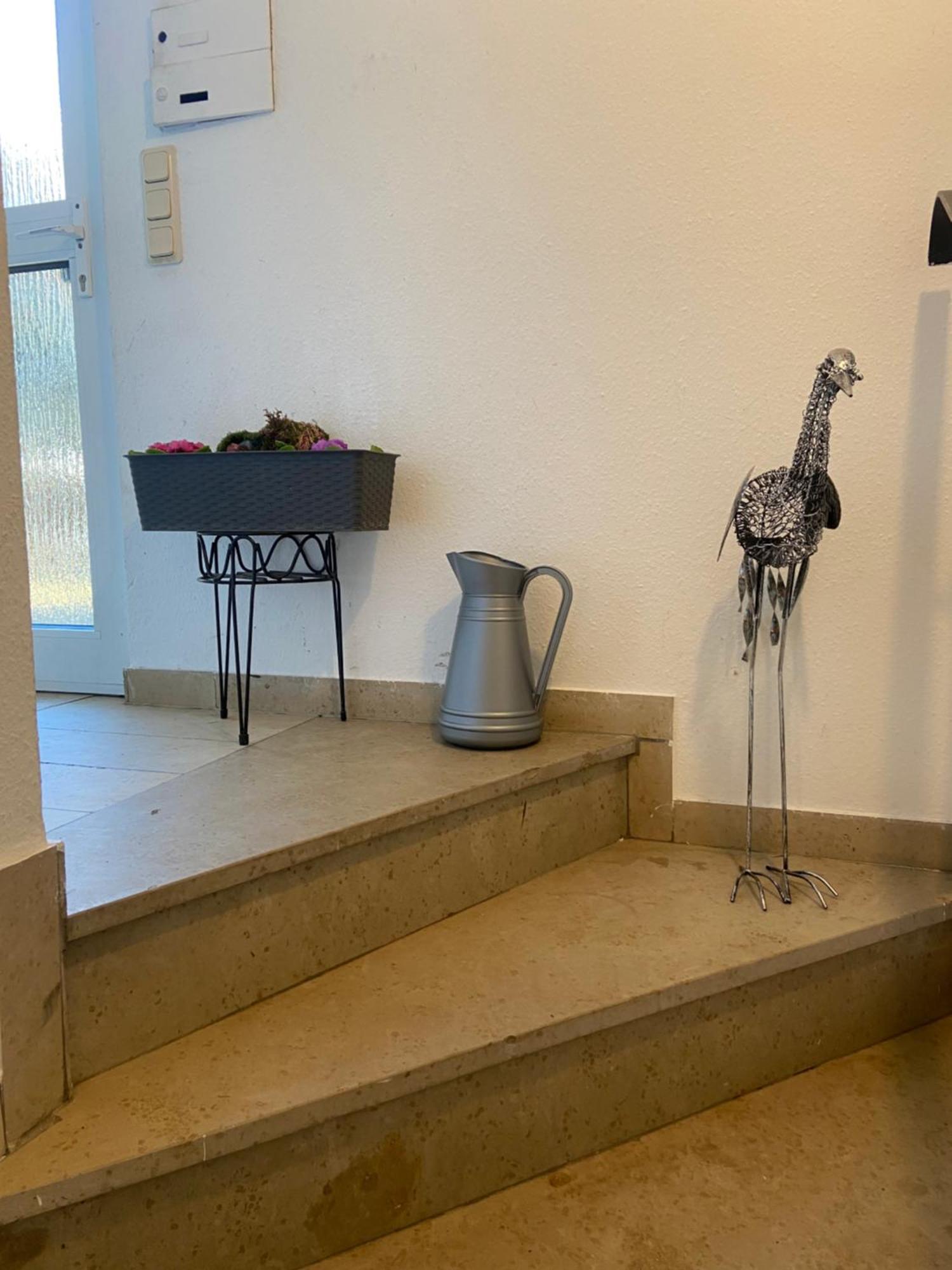 In Saarbruecken Stadtnahe Gemuetliche Wohnung Am Deutsch-Franzoesischen Garten Zewnętrze zdjęcie